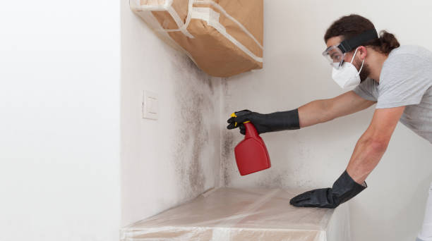 Professional Attic Mold Remediation technician working in Wyandanch, NY