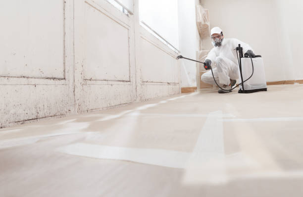24/7 Emergency Attic Mold Remediation experts in Wyandanch, NY